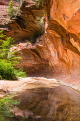 Vertical view of red rock cliffs forming a tunnel over a beautiful clear stream in a canyon - Oak Creek, Sedona, Arizona
