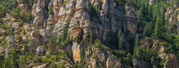 Panorama of a steep mountainside of sandstone cliffs with pine trees clinging to them - Sedona, Arizona