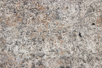 Rough stone vintage wall surface background texture
