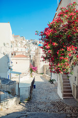 Naklejka premium The narrow streets of the island with blue balconies, stairs and flowers.