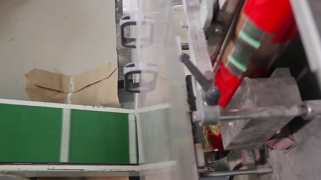 Close up of spaghetti packages running on an automated machinery in a pasta factory. Spaghetti bag passing on a conveyor belt in a pasta factory. Line for packaging pasta in plastic bags.