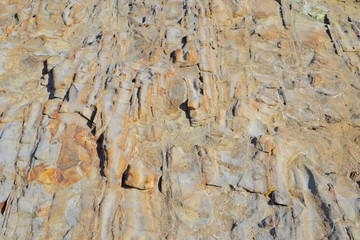 海岸岩背景グレー