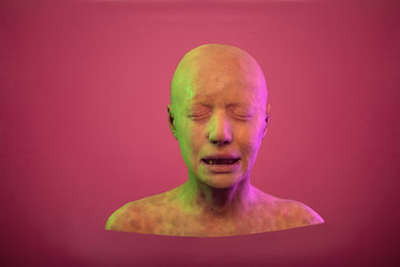 replica of a female head