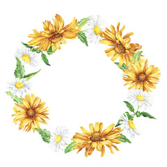 Watercolor flowers in circle, round frame. Hand drawn daisies floral design isolated on white background.