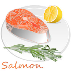Raw salmon fillets with herbs on the plate. White background. Vector illustration