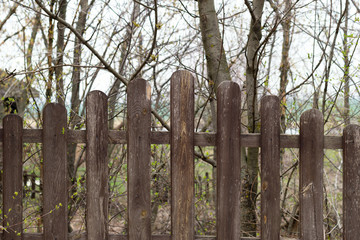 Wooden fence from planks with rounded ends. Trees with green buds behind it. Spring time. Village life concept. Wooden house and a pond far away in background. Close-up. Front view.
