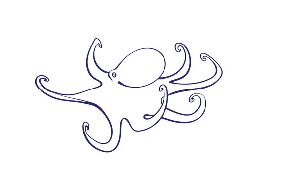 Vector outline cartoon octopus. Graphic underwater animal illustration isolated on white background for coloring book