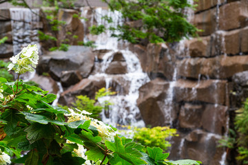 Indoor Garden Waterfall over Brown Stones