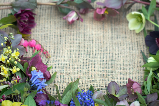 Horizontal image of spring perennial and bulb flowers and leaves on burlap background, with space for text