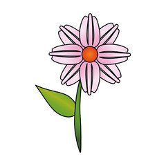 flower tropical spring floral cartoon