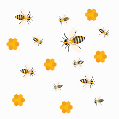 Honey bees set on white background