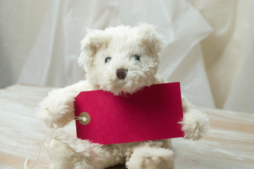 Cute children's teddy bear holding a red label