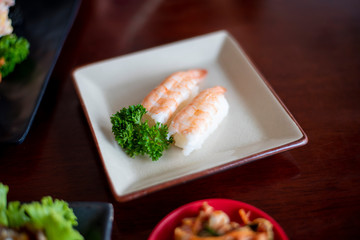 Sushi on dishes, Japan food concept