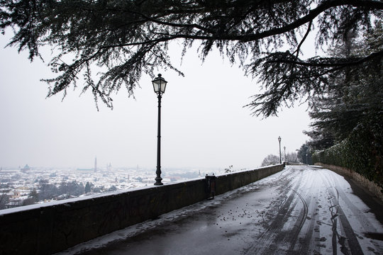 Snow in the City