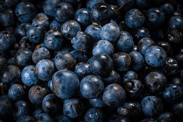 Surface is covered with a thick layer of blueberries.
