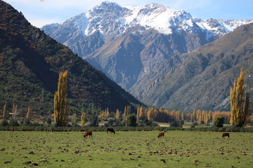 Cordillera de los Andes