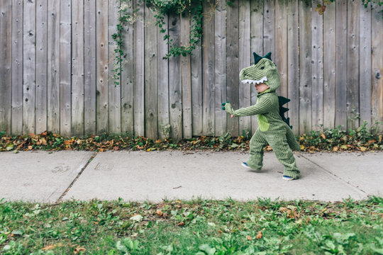 Toddler dressed as a dinosaur for Halloween