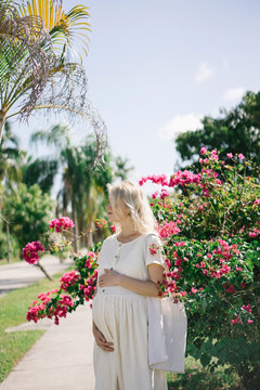 Pregnant beautiful girl near a large tree of flowers