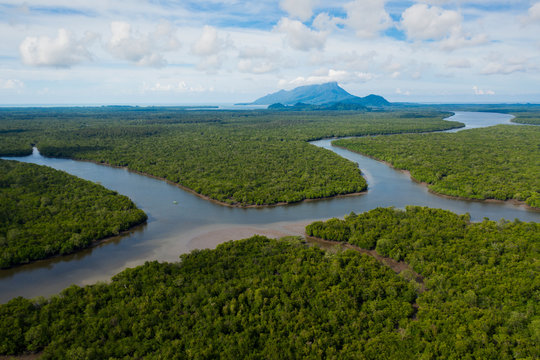 Borneo Wetlands - Powered by Adobe