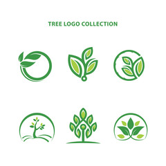 Tree logos collection in flat style Vector