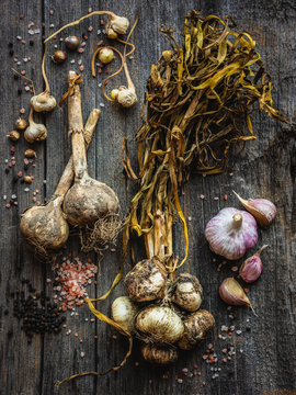 heirloom garlic with salt and pepper