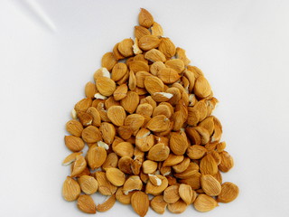 apricot pits on white background