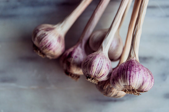 Garlic bulbs and stems on a marble bench, close up