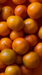  Sweet mandarins for winter.