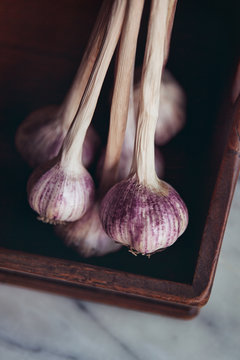 Bunch of garlic bulbs on a wooden tray close up