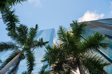 Fototapeta na wymiar Miami financial district city scene