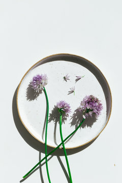 Still life of chive flowers on ceramic plate