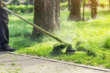 Worker mowing tall grass with electric or petrol lawn trimmer in city park or backyard. Gardening...