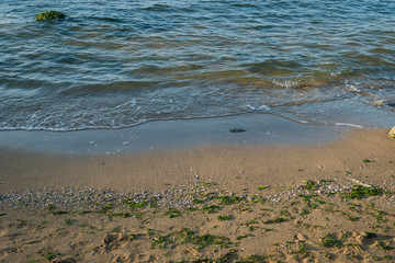 Light waves on the wild beach