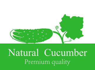 Cucumber logo. Isolated cucumber on white background