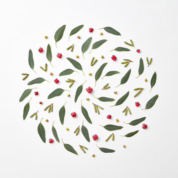 Natural pattern in the form of a circle of buds, berries and green leaves on a gray background with copy space. Natural layout. Flat lay