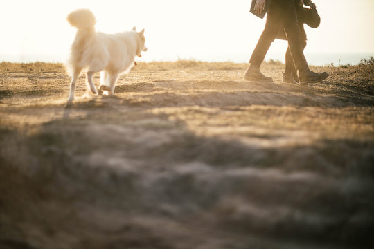 Walking to the Sea