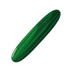 fresh vegetable cucumber on white background