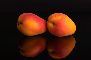 Group of two whole fresh orange apricot isolated on black glass
