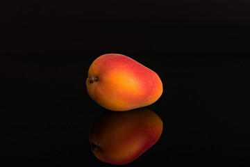 One whole fresh orange apricot isolated on black glass
