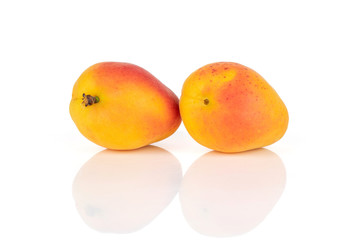 Group of two whole fresh orange apricot close together isolated on white background