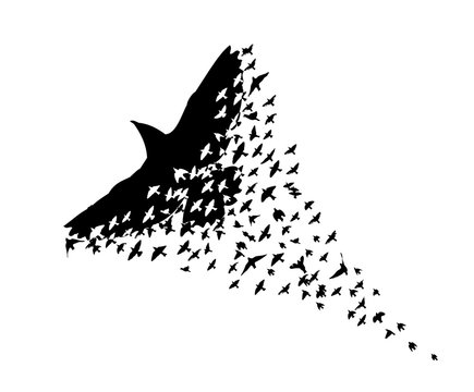 bird migration icon