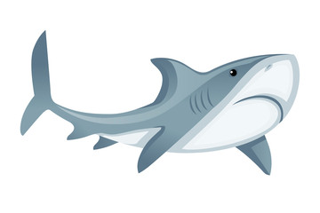 Fototapeta premium Shark with mouth closed giant apex predator cartoon animal design flat vector illustration isolated on white background