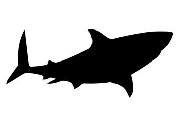 Black silhouette shark giant apex predator cartoon animal design flat vector illustration isolated on white background