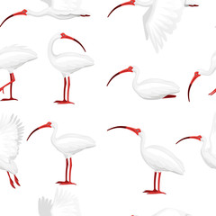 Seamless pattern of american white ibis flat vector illustration cartoon animal design white bird with red beak on white background side view - obrazy, fototapety, plakaty