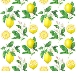 Watercolor lemon pattern on white background