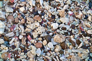 pebbles on the beach