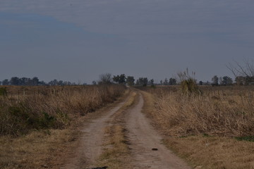 road in the field
