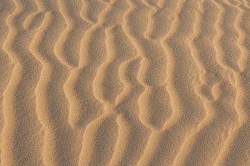 Sand texture background. Golden tint.