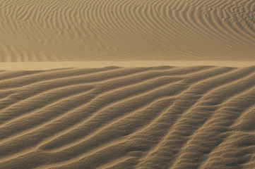 Sand texture background. Golden tint.
