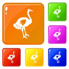 Ostrich icons set collection vector 6 color isolated on white background